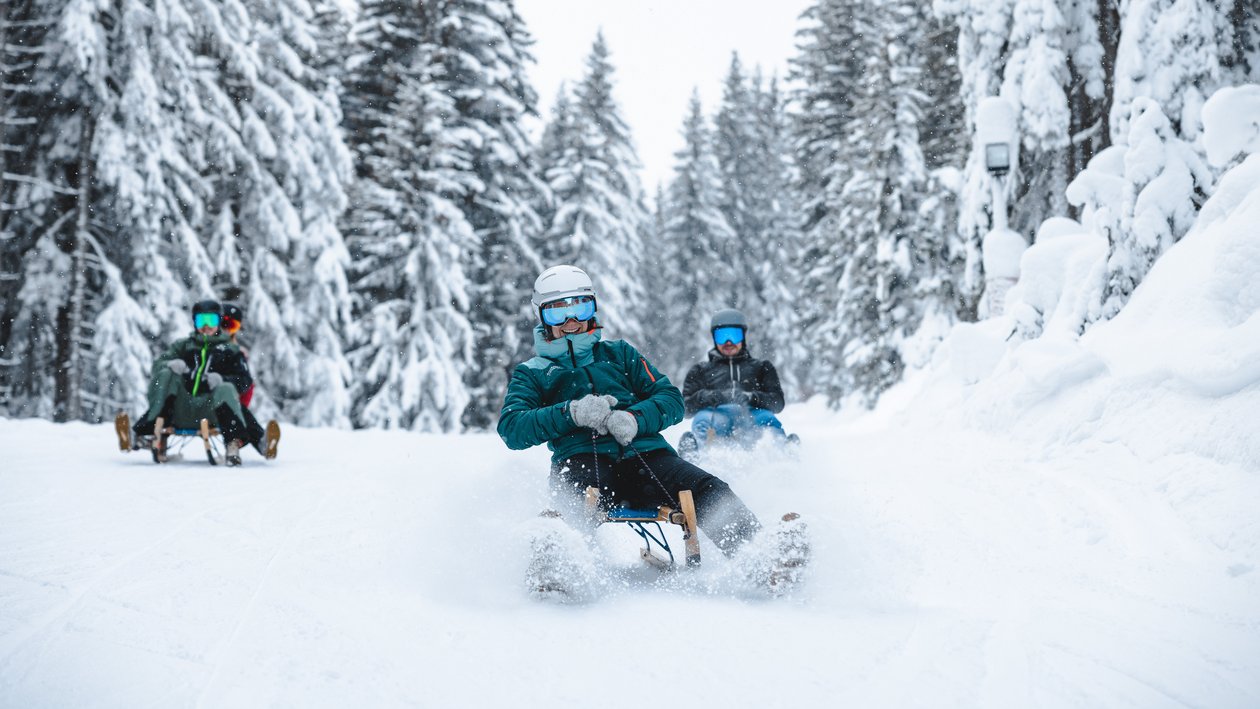Drei Personen rodeln einen schneebedeckten Hang hinunter, umgeben von hohen Nadelbäumen.