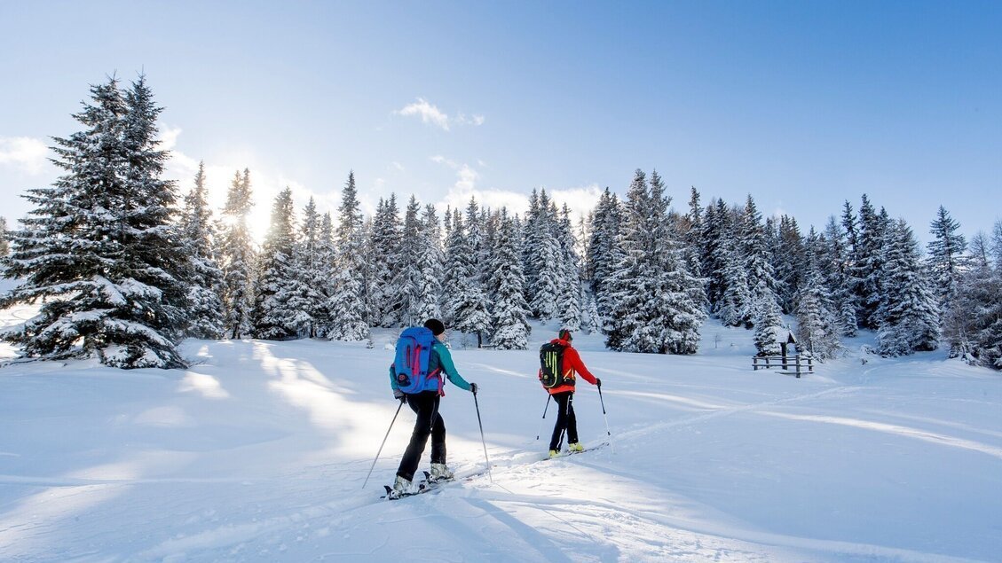 Skifahren im Winterwunderland Zwei Skifahrer gleiten durch eine schneebedeckte Landschaft mit Nadelbäumen unter klarem Himmel.