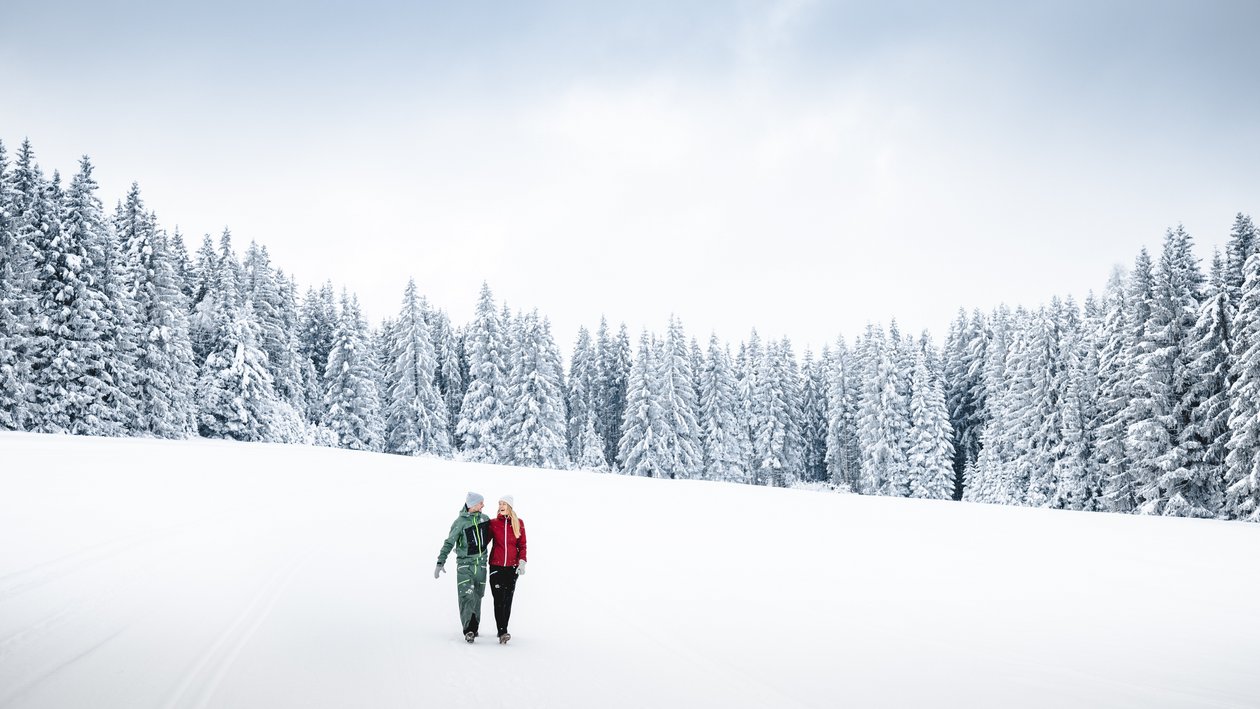 Winterliche Wanderung im Schnee Paar spaziert Hand in Hand durch verschneite Waldlandschaft mit hohen Tannenbäumen