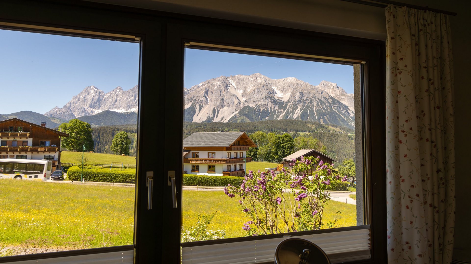 Aussicht aus einem Fenster auf eine Berglandschaft mit blühenden Pflanzen im Vordergrund