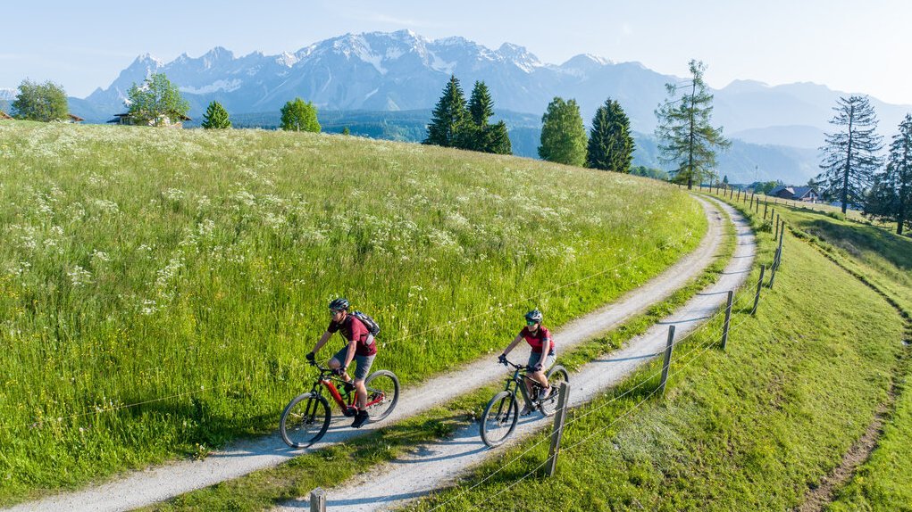 Zwei Radfahrer auf einem geschwungenen Waldweg durch eine grüne Landschaft mit Bergen im Hintergrund.