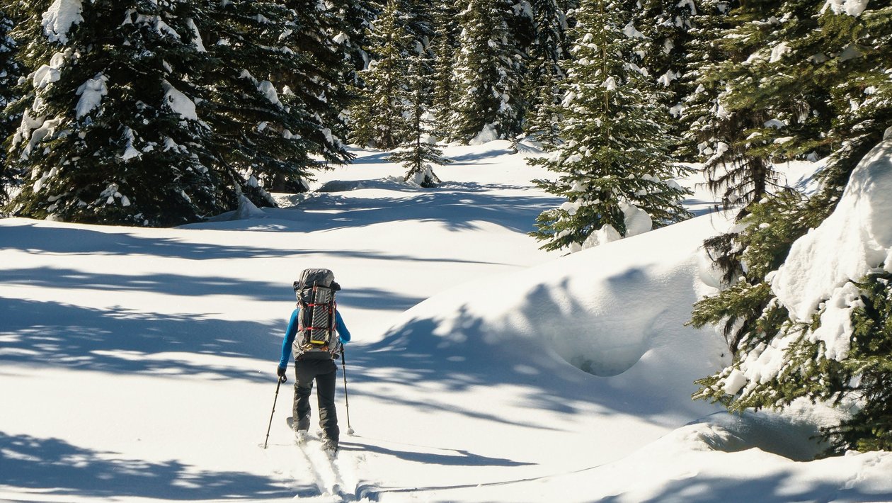 Eine Person wandert durch einen schneebedeckten Wald mit hohen Nadelbäumen und Bergen im Hintergrund unter klarem Himmel.