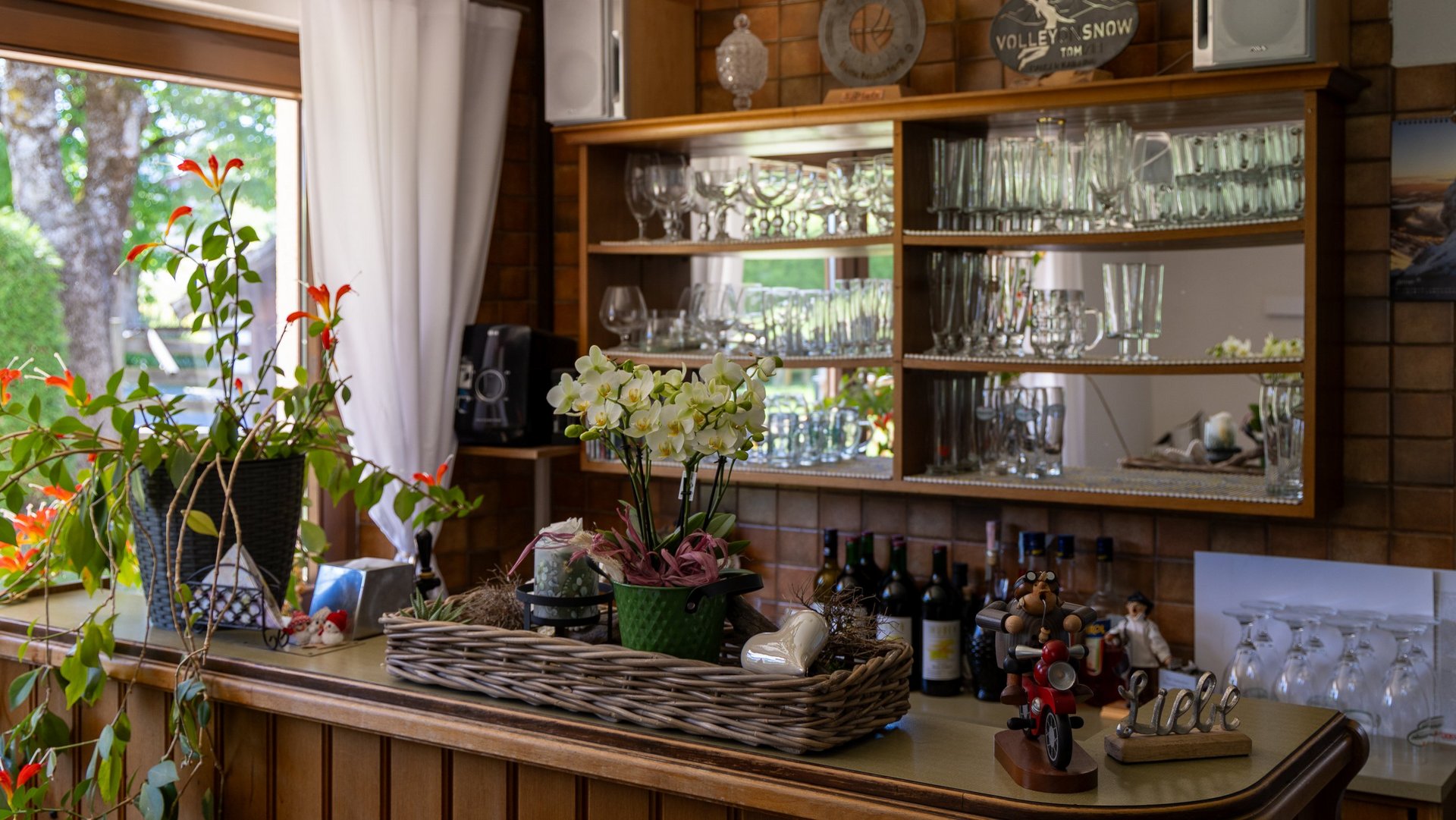 Stylish Home Bar Setup Home bar area with shelves displaying glassware, bottles and decorative plants for interior design
